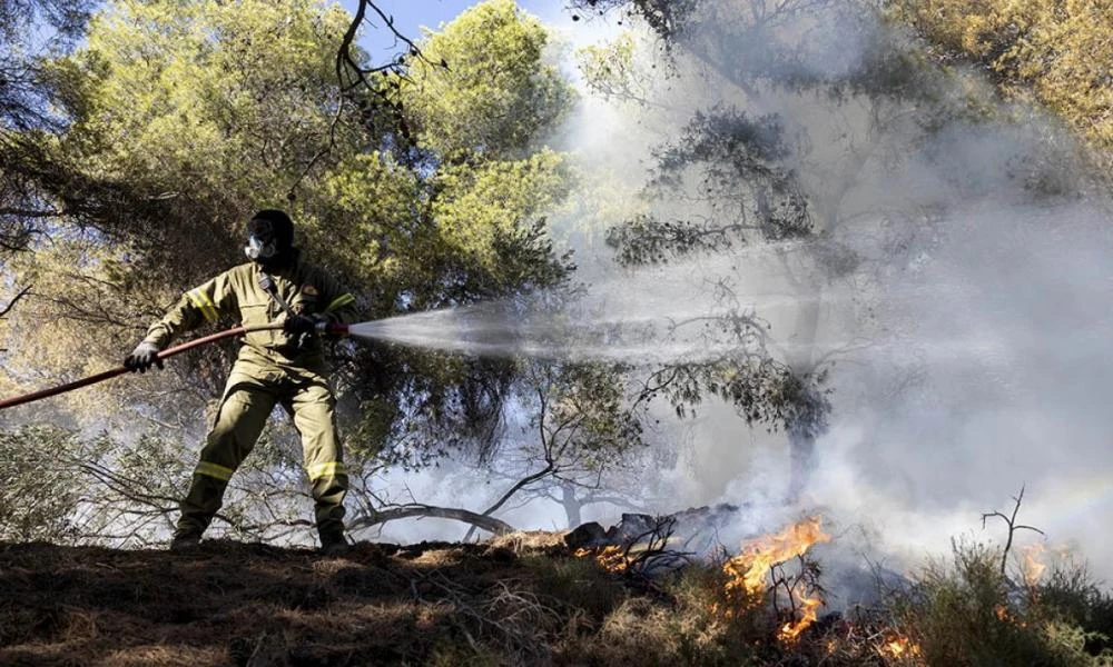 Φωτιά ξέσπασε στις Καρίνες Ρεθύμνου - Καίει χορτολιβαδική έκταση σε πλαγιά